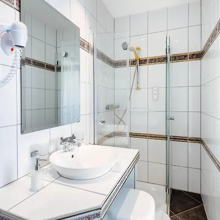 酒店 Alpha Hermann Von Salza 3*