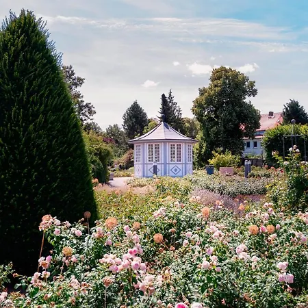 Alpha Hermann Von Salza 3* 巴特朗根萨尔察