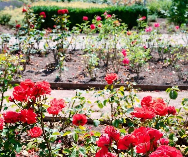 Alpha Hermann Von Salza